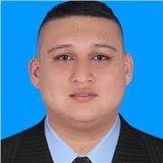 licenciado en basica primaria